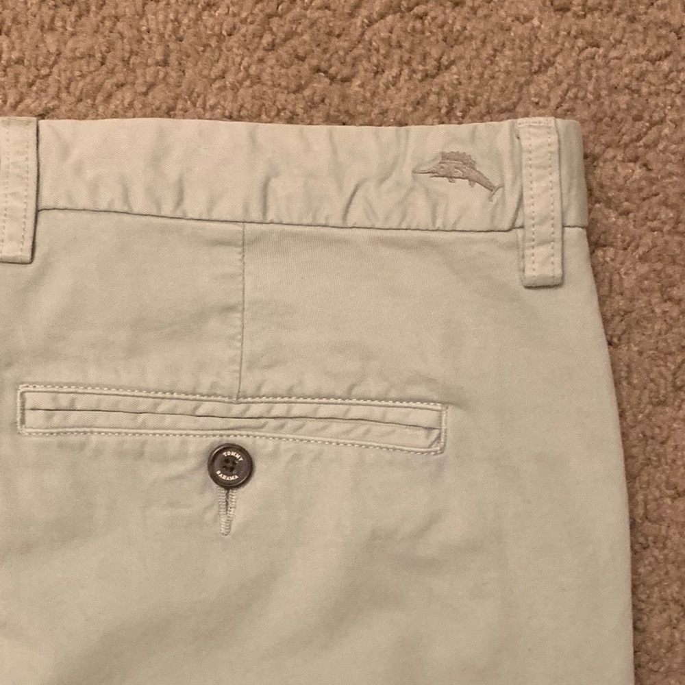 Tommy Bahama Light Green Pants